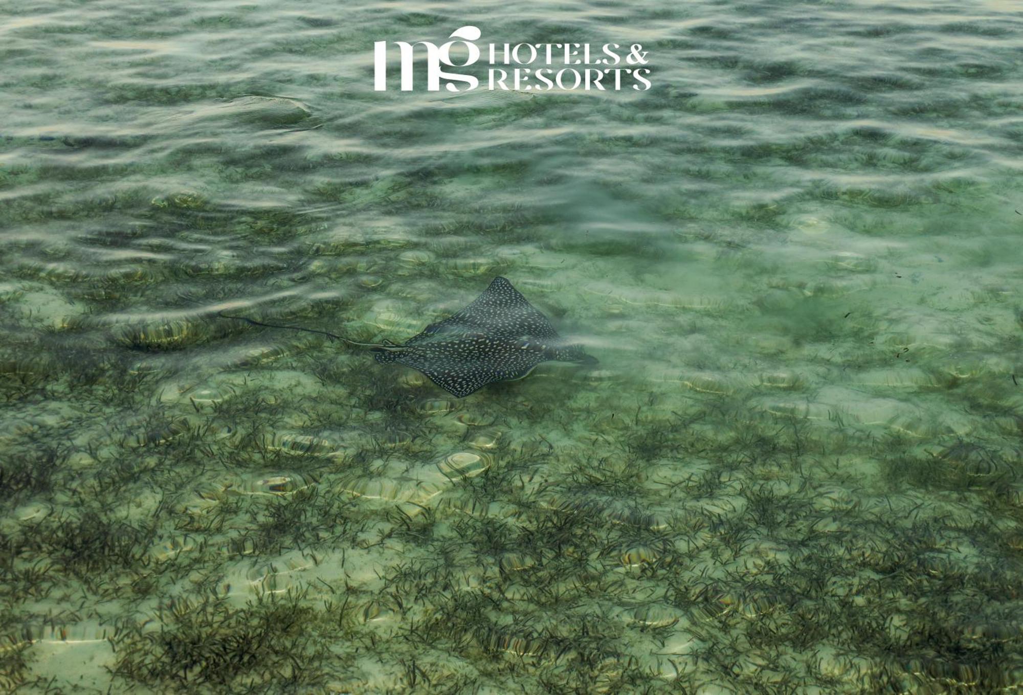 Mg Alexander The Great Hotel Marsa Alam Bagian luar foto